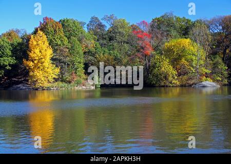 Il riflesso dei colori dell'autunno Foto Stock