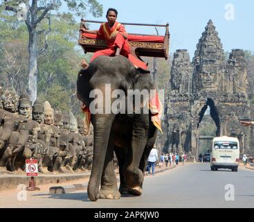 Siem Reap, Cambogia. 16th febbraio 2017. Gli elefanti sono disponibili per dare giri ai turisti ai templi di Angkor Thom vicino ad Angkor Wat a Siem Reap, Cambogia, giovedì 16 febbraio 2017. Le gite in elefante per i turisti ad Angkor Wat termineranno entro l'inizio del 2020, secondo il Angkor Elephant Group Committee, dopo le proteste internazionali scatenate dalla morte di un elefante che trasporta due turisti nel 2016. Credit: Mark Hertzberg/Zuma Wire/Alamy Live News Foto Stock