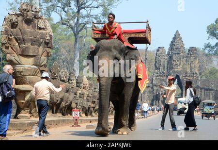 Siem Reap, Cambogia. 16th febbraio 2017. Gli elefanti sono disponibili per dare giri ai turisti ai templi di Angkor Thom vicino ad Angkor Wat a Siem Reap, Cambogia, giovedì 16 febbraio 2017. Le gite in elefante per i turisti ad Angkor Wat termineranno entro l'inizio del 2020, secondo il Angkor Elephant Group Committee, dopo le proteste internazionali scatenate dalla morte di un elefante che trasporta due turisti nel 2016. Credit: Mark Hertzberg/Zuma Wire/Alamy Live News Foto Stock