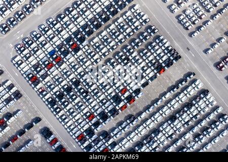 Aereo vista dall'alto nuove auto allineate nel porto per import export business logistica e trasporto via nave in mare aperto. Auto nuova dalla fabbrica Foto Stock