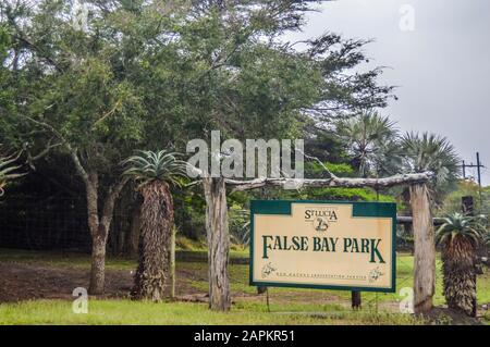 Verde e isolato False Bay park in zone umide Isimangaliso KZN in Sud Africa Foto Stock