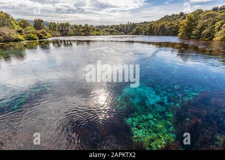 Nuova Zelanda, Tasman Region, Takaka, vista panoramica delle sorgenti di te Waikoropupu Springs Foto Stock