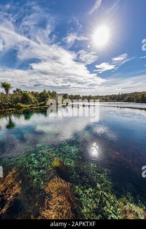 Nuova Zelanda, Tasman Region, Takaka, Sun splendente sulle molle di te Waikoropupu Foto Stock