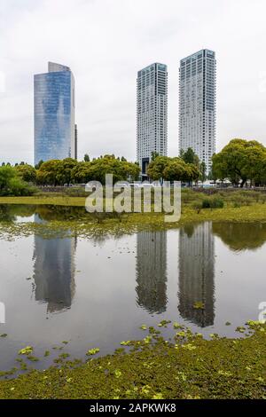 Splendida vista su edifici moderni vista dalla zona verde ecologica di Puerto Madero, Buenos Aires, Argentina Foto Stock