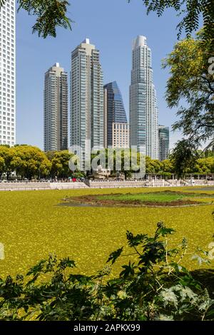 Splendida vista su edifici moderni vista dalla zona verde ecologica di Puerto Madero, Buenos Aires, Argentina Foto Stock