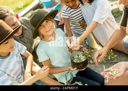 Scuola bambini imparare, come preparare un'infusione camomilla Foto Stock