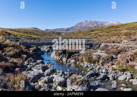 Nuova Zelanda, Bridge over Wairere Stream con il vulcano Monte Ruapehu sullo sfondo Foto Stock