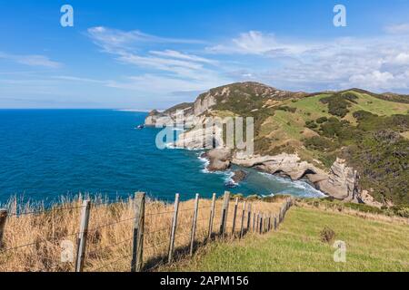 Nuova Zelanda, Fence lungo il bordo del promontorio di Cape Farewell Foto Stock