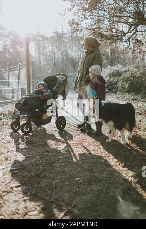 Madre con figlie e collie di confine durante la passeggiata nella foresta in autunno Foto Stock