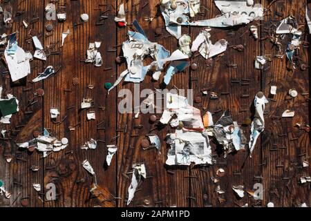 Pezzi strappati di carta inchiodati a tavole di legno Foto Stock