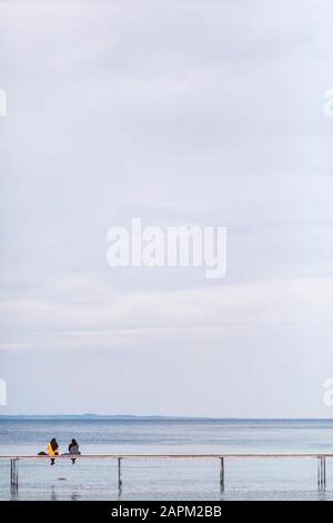 Danimarca, Aarhus, due donne sedute sul ponte Infinite con chiara linea di orizzonte sul mare sullo sfondo Foto Stock