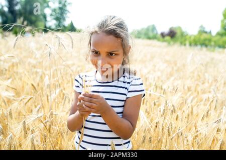 Bambina in piedi nel campo del grano, guardando l'orecchio del grano Foto Stock