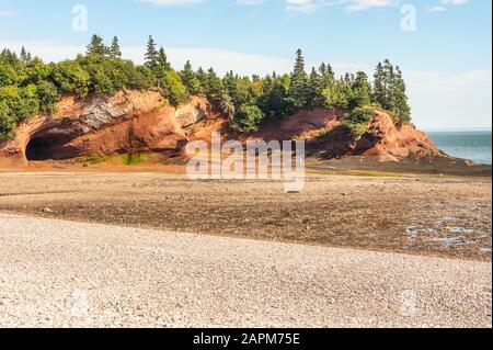 Famose grotte marine di St Martins in pietra arenaria con la bassa marea, Bay of Fundy Shore, New Brunswick, Canada Foto Stock