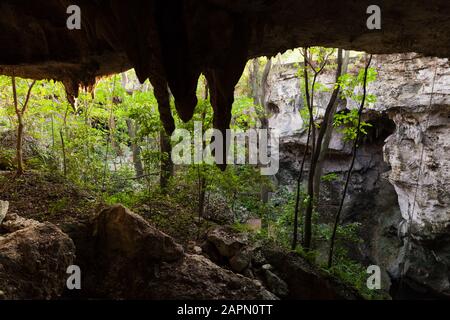 Grotta Los Tres Ojos O I Tre Occhi In Inglese. Stalattiti della grotta calcarea all'aperto situata nel parco Mirador del Este, a Santo Domingo Foto Stock