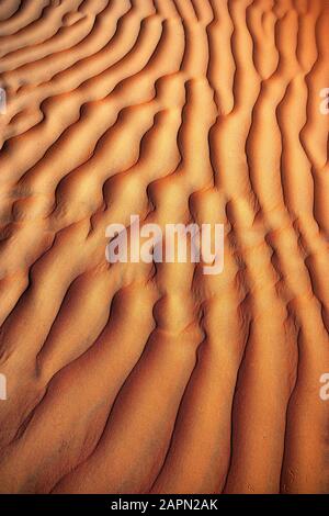 Struttura ondulata, dune di sabbia, deserto Rimal al Wahiba o Wahiba Sands, Sultanato dell'Oman Foto Stock