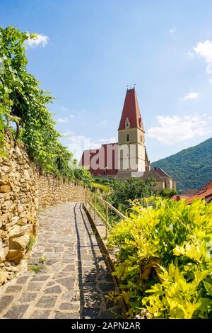 Chiesa parrocchiale gotica, Weissenkirchen a Wachau, Bassa Austria, Austria Foto Stock