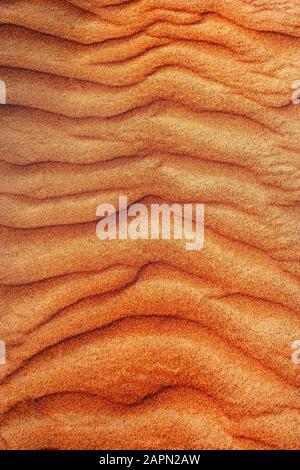 Struttura ondulata, dune di sabbia, deserto Rimal al Wahiba o Wahiba Sands, Sultanato dell'Oman Foto Stock