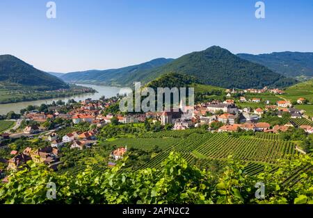 Vigneti, Spitz An Der Donau, Wachau, Bassa Austria, Austria Foto Stock