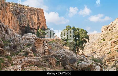 un antico monastero si aggrappa al lato di una scogliera vicino a ein prat in wadi qelt sulla riva ovest con un vecchio muro di pietra in primo piano Foto Stock