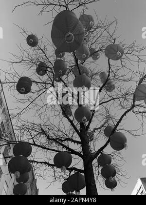 Inquadratura ad angolo basso di molti oggetti circolari simili a palloncini appesi un albero asciutto Foto Stock