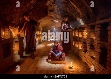 Monaco novizio libro lettura,in monastero, Bagan, Myanmar Foto Stock