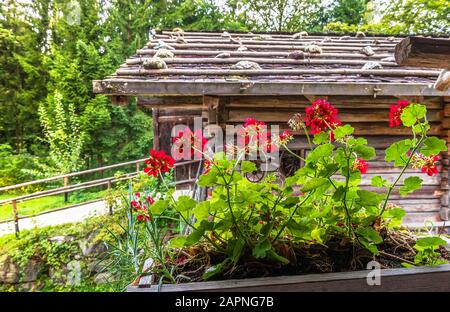 Visita al museo all'aperto di Salisburgo, Austria Foto Stock