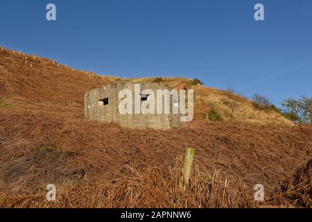 Un vecchio bunker costiero In cemento ben conservato, situato sul pendio di una collina vicino al piccolo Hamlet di Miltonhaven, nell'Aberdeenshire. Foto Stock