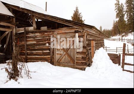 Una porta di legno su un vecchio fienile in un allevamento di bestiame, lungo Killbrenan Lake Road, fuori Troy, Montana. Foto Stock