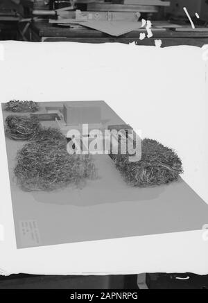 Modelli Data: Novembre 1964 Parole Chiave: Modelli Foto Stock