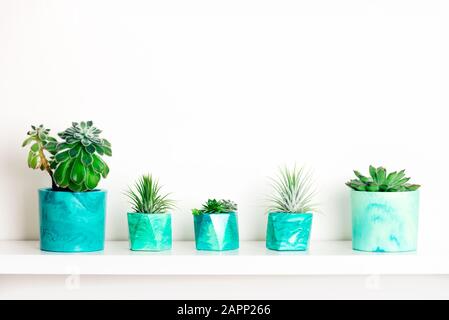 Raccolta di marmo succulente geometrica piantatrici con bellissimo piccolo le piante succulente sul ripiano bianco contro il muro bianco. Lifestyle home decoration Foto Stock