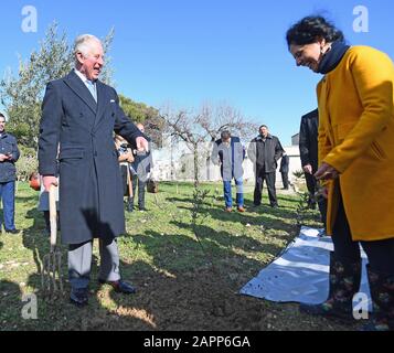 Il Principe di Galles partecipa ad una cerimonia di piantaggio durante una visita ad un tradizionale oliveto e frutteto in uno storico convento di Betlemme il secondo giorno del suo viaggio in Israele e nei territori palestinesi occupati. Foto Stock