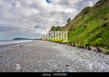 La spiaggia di ciottoli e vegetò scogliere sul mare formato da deriva glaciale a Killiney, County Dublin, Irlanda, guardando verso la testa di Bray County Wicklow Foto Stock