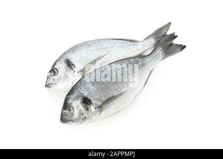 Fresh Dorado pesci isolati su sfondo bianco Foto Stock