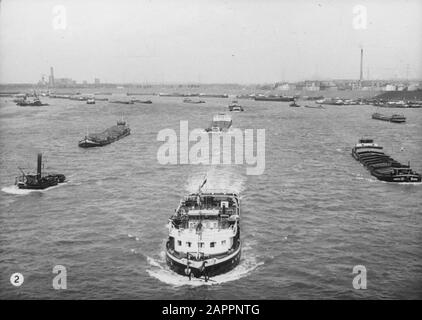 Gloria olandese sulla navigazione Reno, reportage da rimorchiatore Damco 9: Germania Ovest. Damco 10 con rimorchio a Duisburg-Ruhrort con destra il Harpen 32, visto dal Friedrich-Eber-Brücke Data: 1 aprile 1955 posizione: Duisburg, Germania, Germania occidentale, Germania Parole Chiave: Navi interne, porti, fiumi, rimorchiatori, navi a vapore Foto Stock