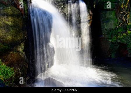 Forma del viso di Orangutan in una cascata, Cascate di Lumsdale, Valle di Lumsdale, Matlock, Derbyshire Peak District, Inghilterra, Regno Unito Foto Stock