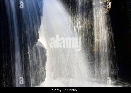 Forma del viso di Orangutan in una cascata, Cascate di Lumsdale, Valle di Lumsdale, Matlock, Derbyshire Peak District, Inghilterra, Regno Unito Foto Stock