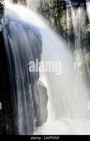 Forma del viso di Orangutan in una cascata, Cascate di Lumsdale, Valle di Lumsdale, Matlock, Derbyshire Peak District, Inghilterra, Regno Unito Foto Stock