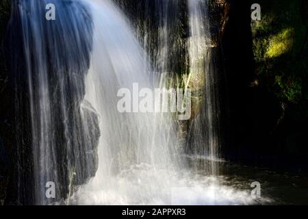 Forma del viso di Orangutan in una cascata, Cascate di Lumsdale, Valle di Lumsdale, Matlock, Derbyshire Peak District, Inghilterra, Regno Unito Foto Stock