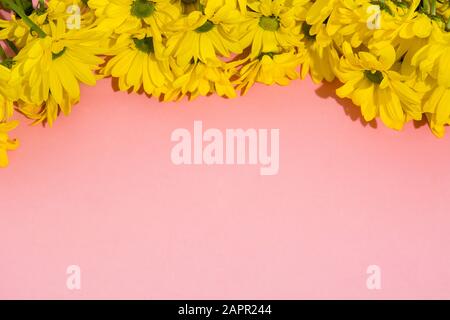 Bouquet di crisantemo giallo su sfondo rosa. Spazio di copia Foto Stock