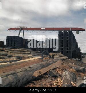 Suriname (immagini di strada, industria, politica, gente ecc. industria: Industria del legno Data: 1975 luogo: Suriname Parole Chiave: INDUSTRIA del legno Foto Stock