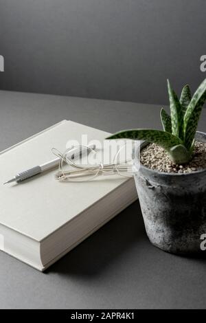 Diario bianco su una scrivania grigia Foto Stock