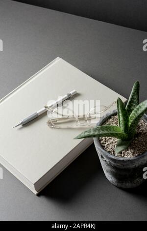 Diario bianco su una scrivania grigia Foto Stock