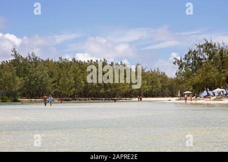 La gente e la pineta sulla spiaggia lungo la costa di Mauritius. Foto Stock