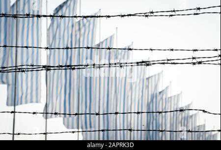 24 gennaio 2020, Polonia, Oswiecim: Dietro il filo spinato dell'ex campo di concentramento di Auschwitz-Birkenau, le bandiere volano nel vento. 27.01.2020 ricorre il 75th anniversario della liberazione del campo di concentramento da parte dell'Armata Rossa. Dal 1940 al 1945, la SS gestiva il complesso con numerosi campi satellite come campi di concentramento e di sterminio. Il numero di coloro che sono stati uccisi ammonta a 1,1 - 1,5 milioni, la maggior parte dei quali ebrei. Auschwitz è il simbolo dell'omicidio di massa industriale e dello sterminio degli ebrei. Foto: Kay Nietfeld/Dpa Foto Stock