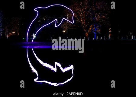 Spettacolo di luci nel parco con una luce a forma di delfino Foto Stock