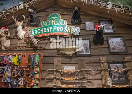 Tiro con l'arco e portata presso il Bass Pro Shops Outdoors Store, Gainesville, Florida. Foto Stock