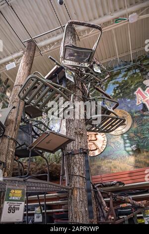 Tiro con l'arco e portata presso il Bass Pro Shops Outdoors Store, Gainesville, Florida. Foto Stock