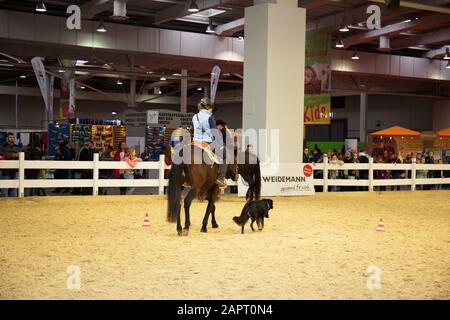 impressioni della fiera del cavallo 2019 ad hannover, bassa sassonia, germania Foto Stock