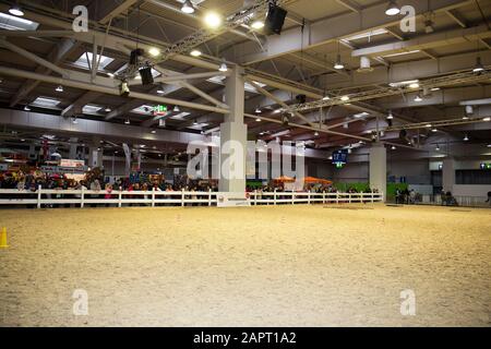 impressioni della fiera del cavallo 2019 ad hannover, bassa sassonia, germania Foto Stock