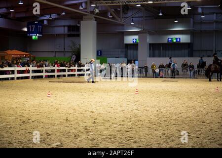 impressioni della fiera del cavallo 2019 ad hannover, bassa sassonia, germania Foto Stock